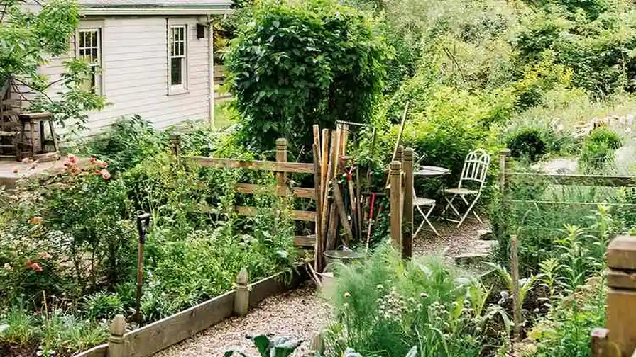 Close up on a plate of mashed potatoes, topped with baked pork chops with cream of mushroom soup, and a side of green beans.