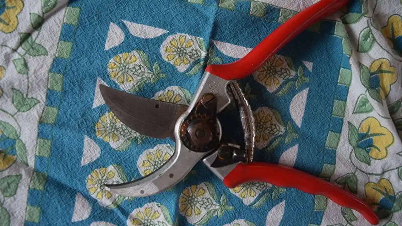 Close up on a plate of mashed potatoes, topped with baked pork chops with cream of mushroom soup, and a side of green beans.