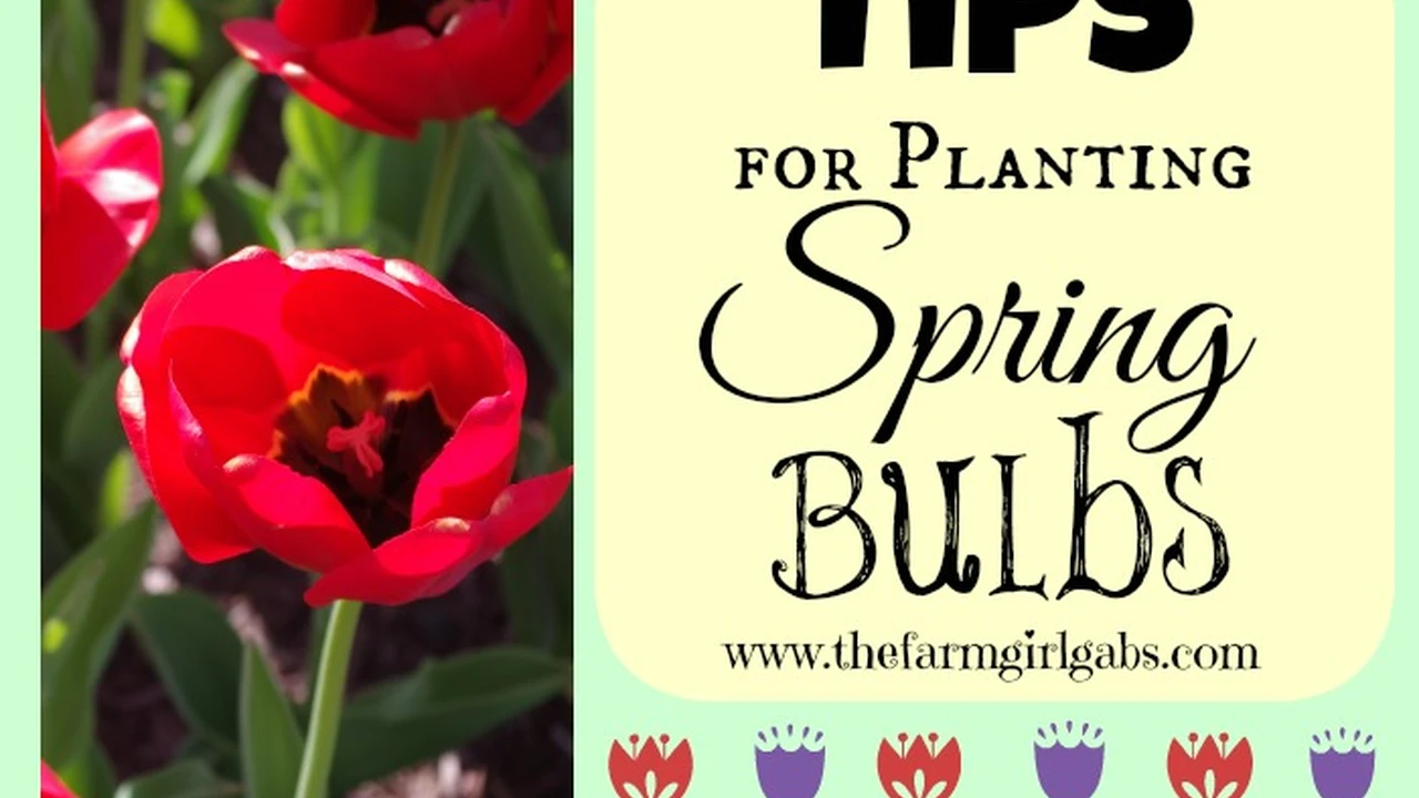 Close up on a plate of mashed potatoes, topped with baked pork chops with cream of mushroom soup, and a side of green beans.