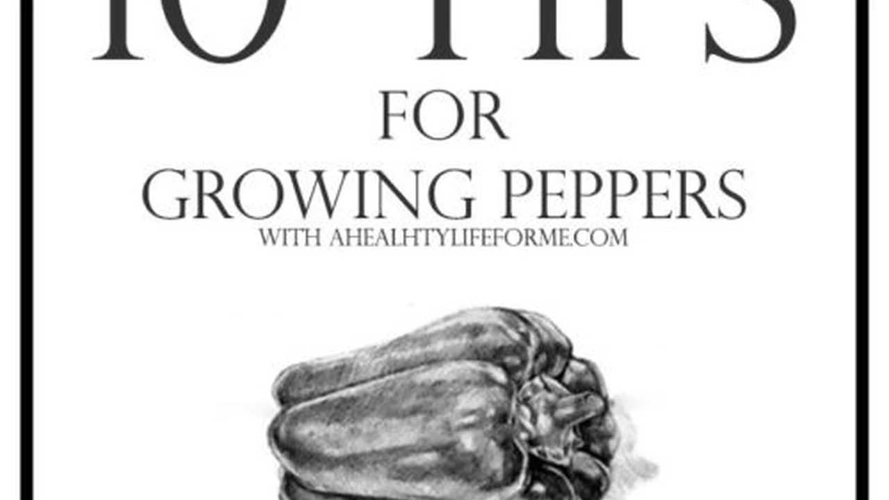 Close up on a plate of mashed potatoes, topped with baked pork chops with cream of mushroom soup, and a side of green beans.