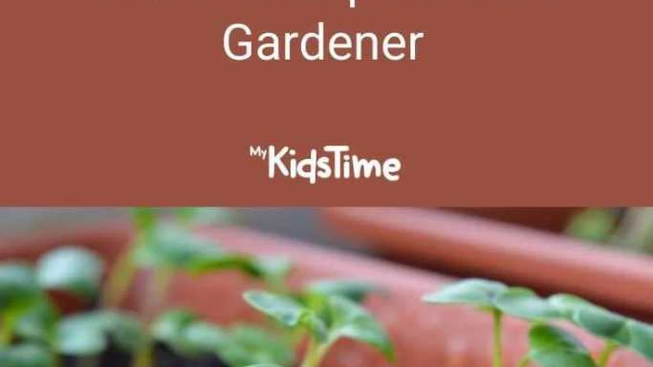 Close up on a plate of mashed potatoes, topped with baked pork chops with cream of mushroom soup, and a side of green beans.