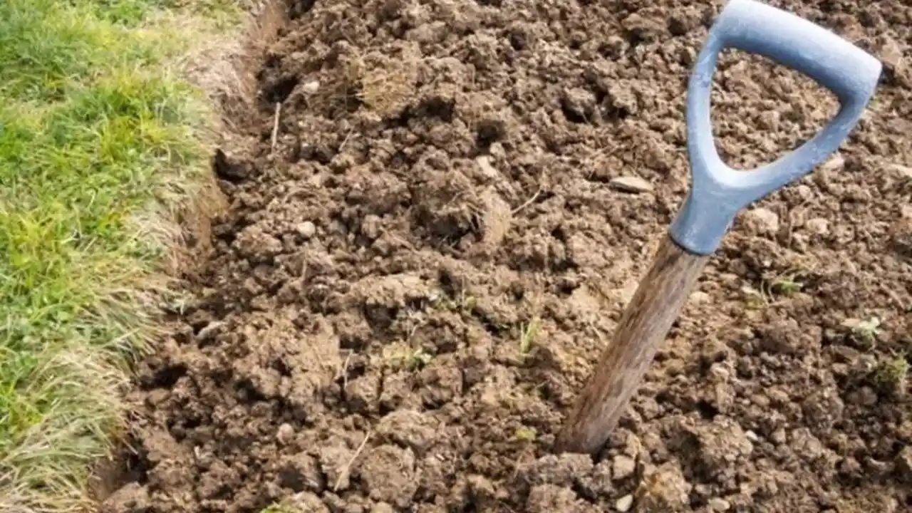 Close up on a plate of mashed potatoes, topped with baked pork chops with cream of mushroom soup, and a side of green beans.