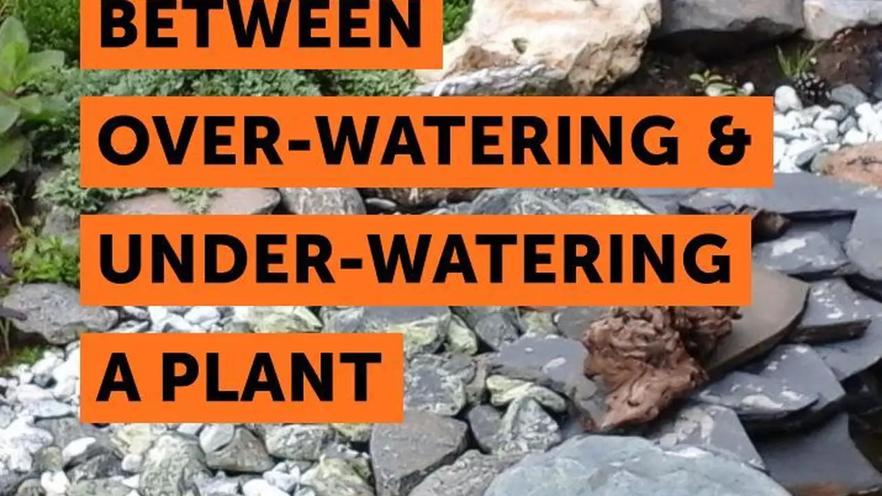 Close up on a plate of mashed potatoes, topped with baked pork chops with cream of mushroom soup, and a side of green beans.