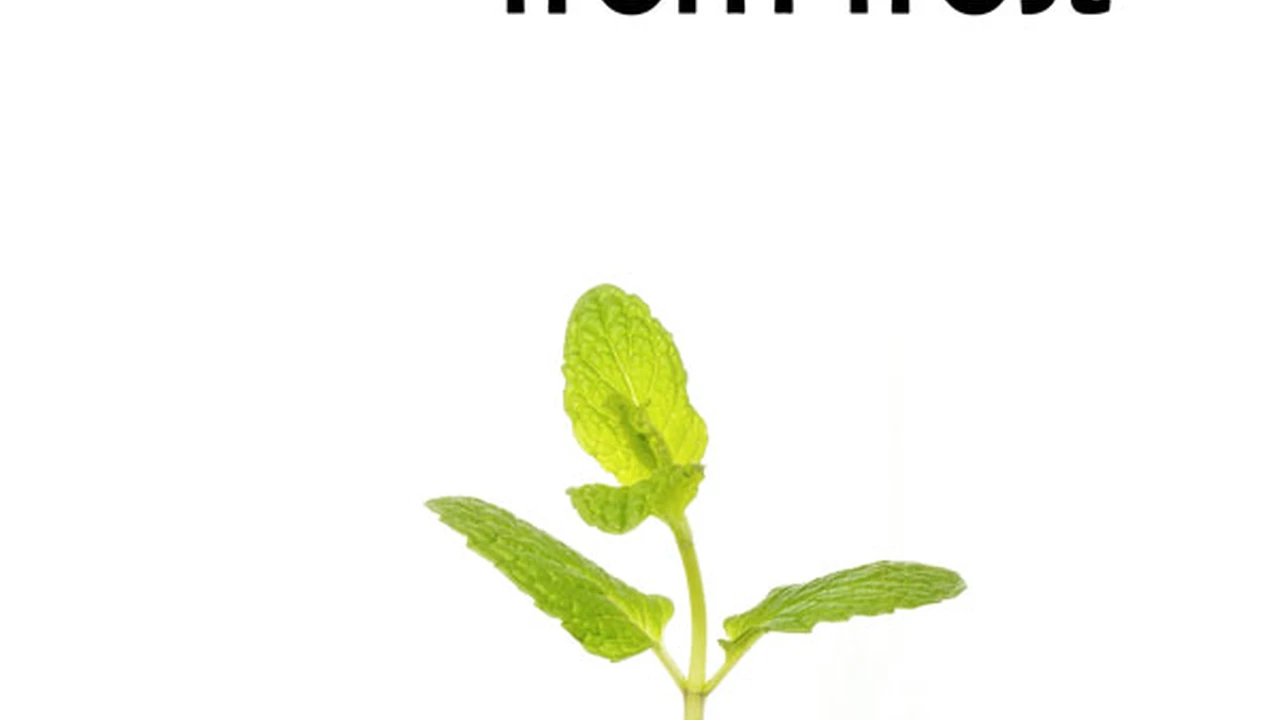 Close up on a plate of mashed potatoes, topped with baked pork chops with cream of mushroom soup, and a side of green beans.