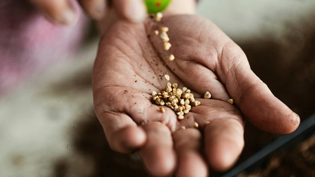 Close up on a plate of mashed potatoes, topped with baked pork chops with cream of mushroom soup, and a side of green beans.