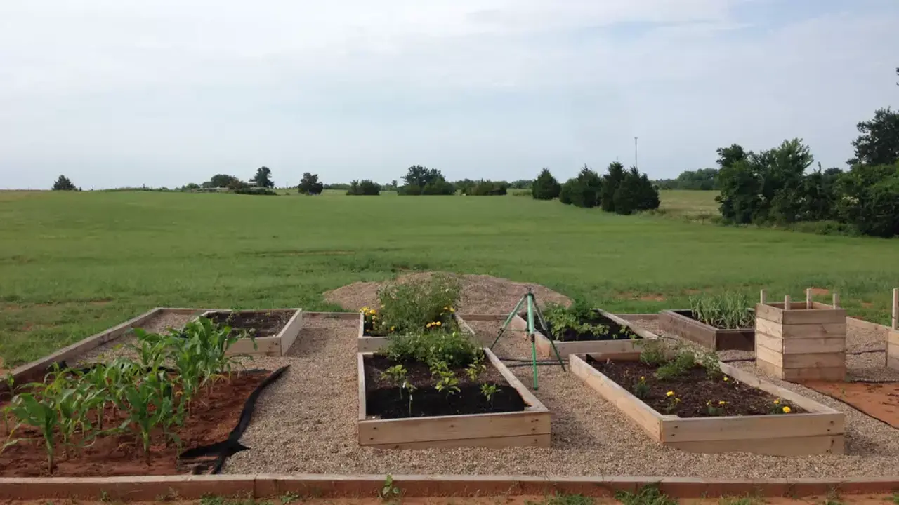 Chef John's Irish Soda Bread