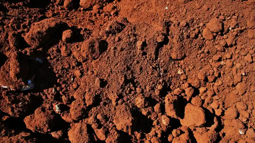 Close up on a plate of mashed potatoes, topped with baked pork chops with cream of mushroom soup, and a side of green beans.
