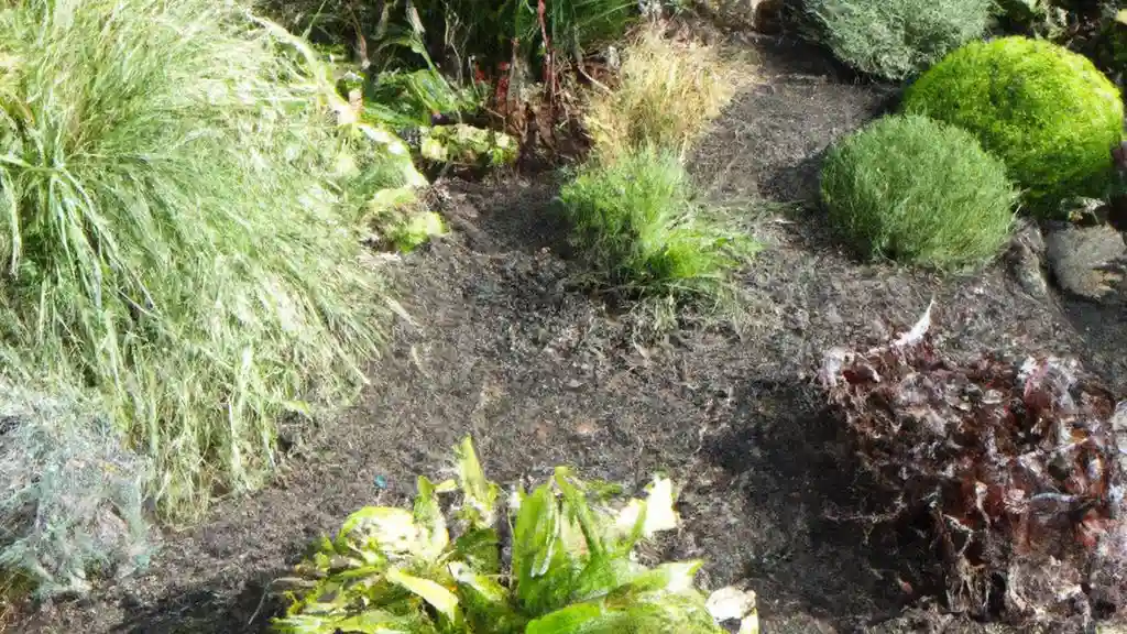 overhead view of corned beef sliced and on a platter with cabbage, potatoes, and carrots