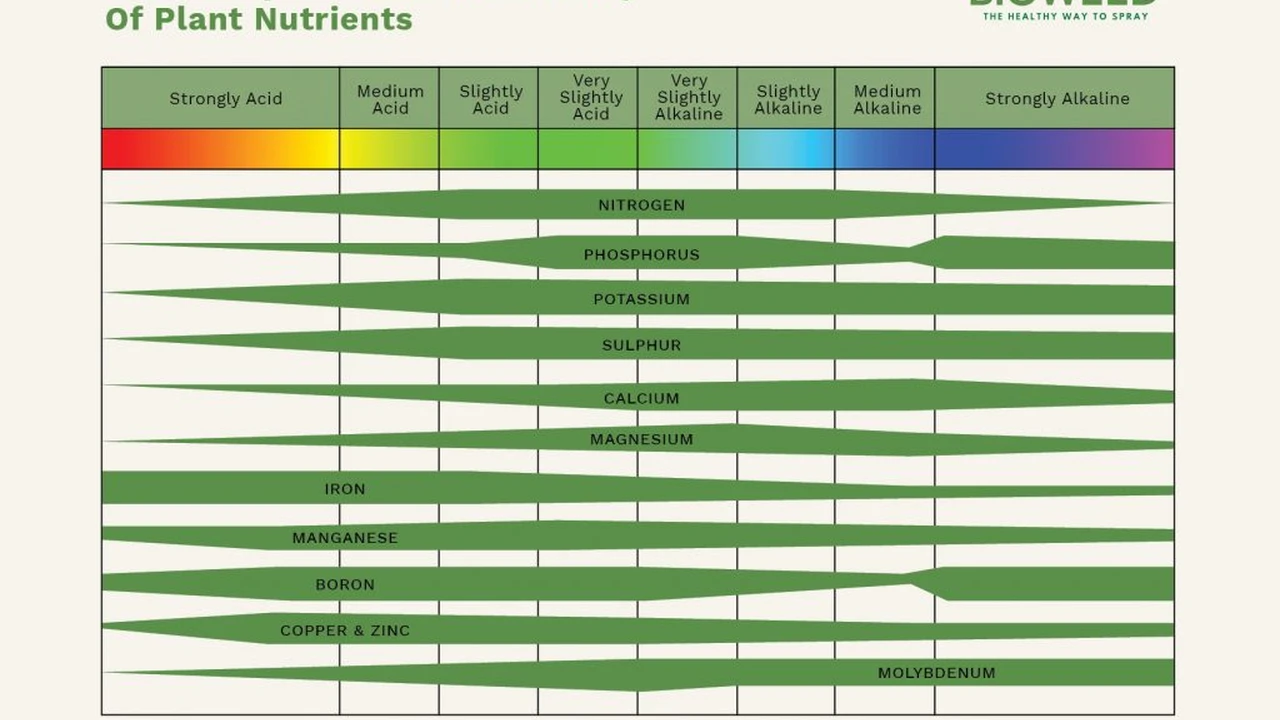 Close up on a plate of mashed potatoes, topped with baked pork chops with cream of mushroom soup, and a side of green beans.